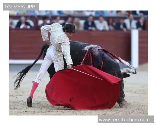 足球明星挑战传统舞蹈魅力跳斗牛舞展现激情与风采